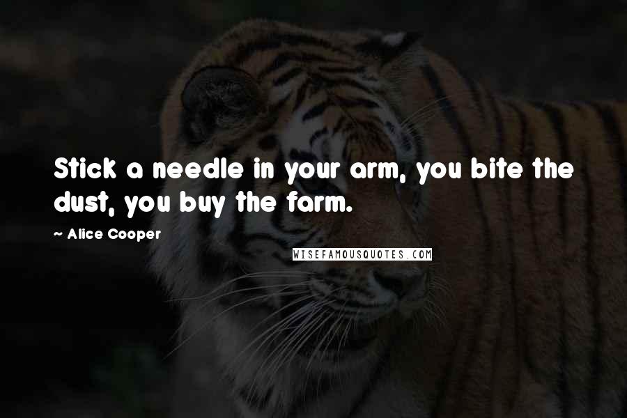 Alice Cooper Quotes: Stick a needle in your arm, you bite the dust, you buy the farm.