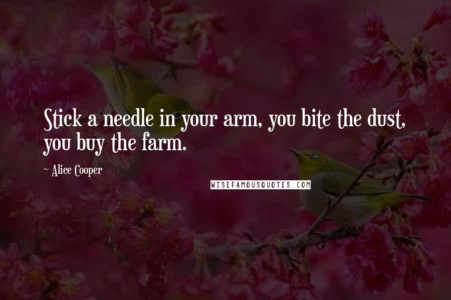 Alice Cooper Quotes: Stick a needle in your arm, you bite the dust, you buy the farm.