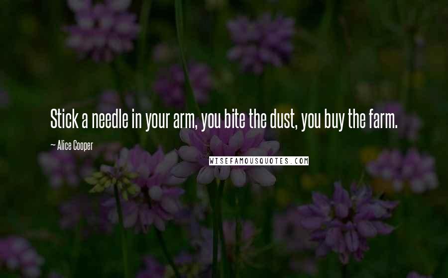 Alice Cooper Quotes: Stick a needle in your arm, you bite the dust, you buy the farm.