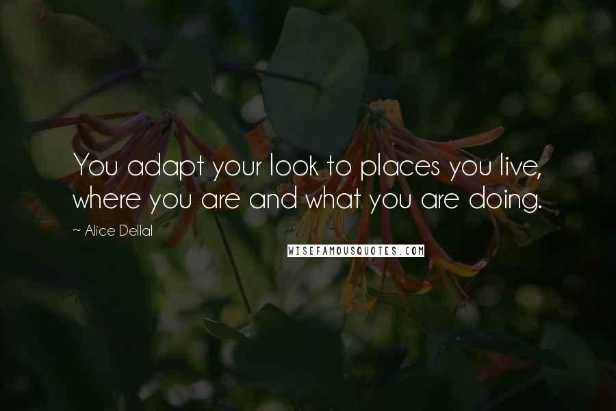 Alice Dellal Quotes: You adapt your look to places you live, where you are and what you are doing.