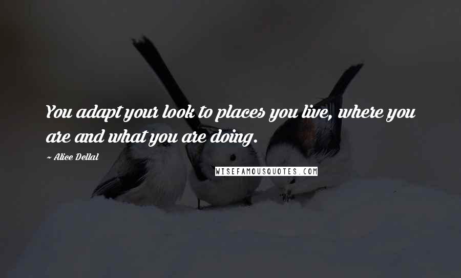 Alice Dellal Quotes: You adapt your look to places you live, where you are and what you are doing.