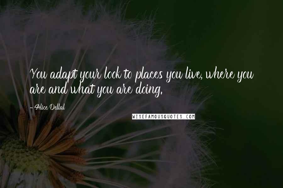 Alice Dellal Quotes: You adapt your look to places you live, where you are and what you are doing.