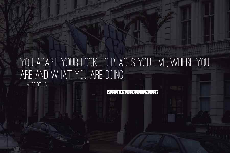 Alice Dellal Quotes: You adapt your look to places you live, where you are and what you are doing.