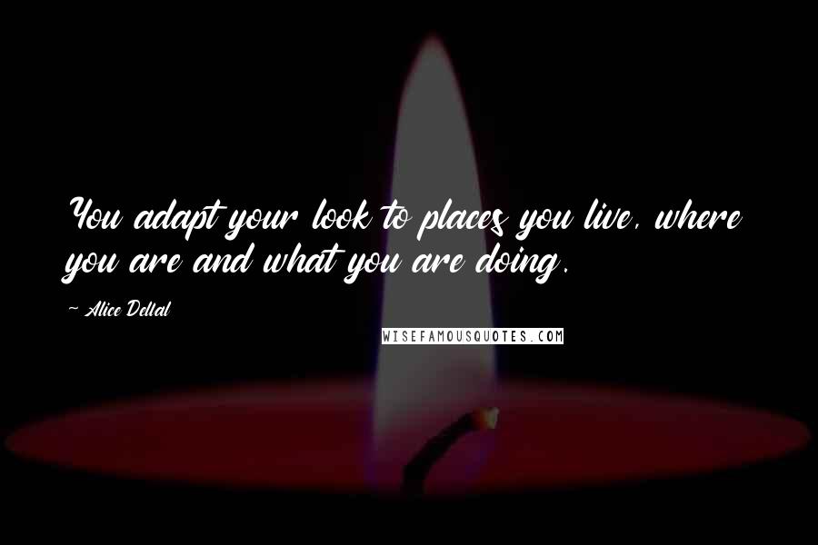 Alice Dellal Quotes: You adapt your look to places you live, where you are and what you are doing.