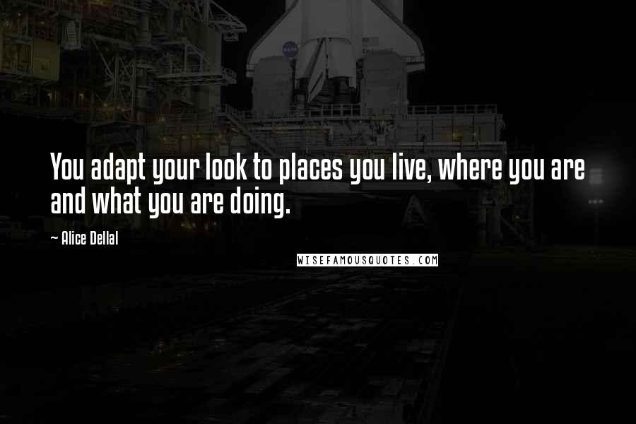 Alice Dellal Quotes: You adapt your look to places you live, where you are and what you are doing.