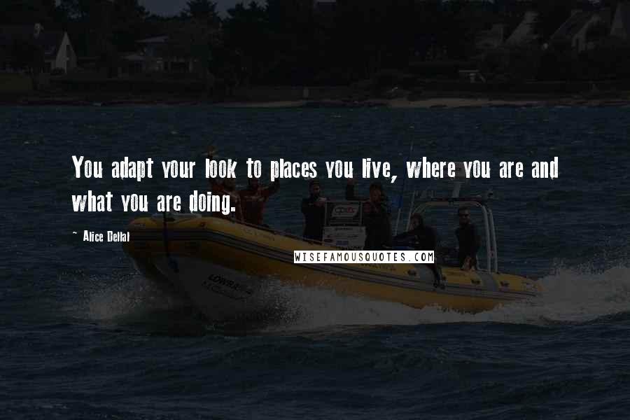 Alice Dellal Quotes: You adapt your look to places you live, where you are and what you are doing.