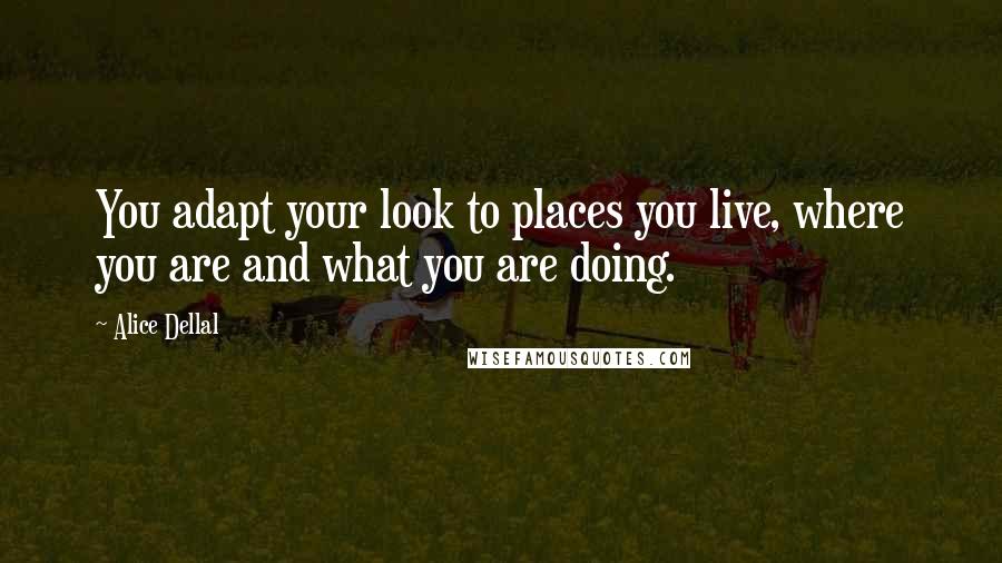 Alice Dellal Quotes: You adapt your look to places you live, where you are and what you are doing.