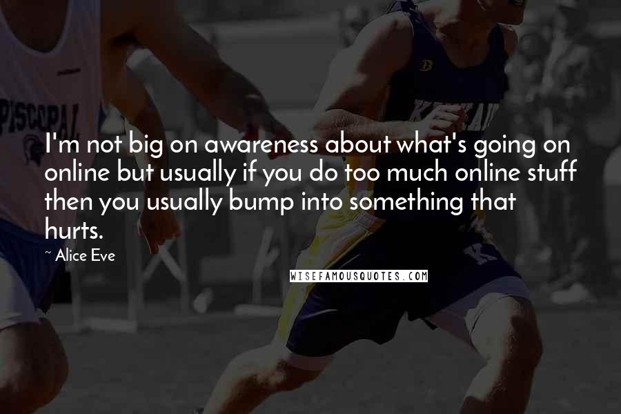 Alice Eve Quotes: I'm not big on awareness about what's going on online but usually if you do too much online stuff then you usually bump into something that hurts.