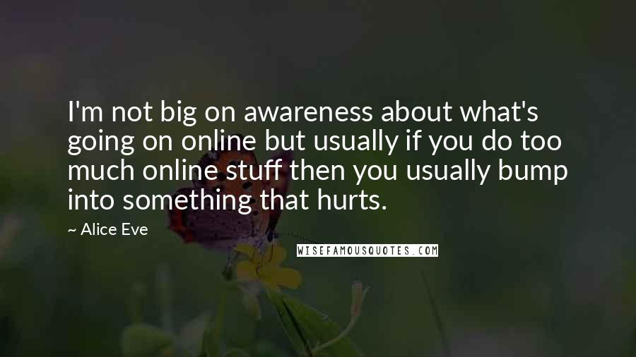 Alice Eve Quotes: I'm not big on awareness about what's going on online but usually if you do too much online stuff then you usually bump into something that hurts.
