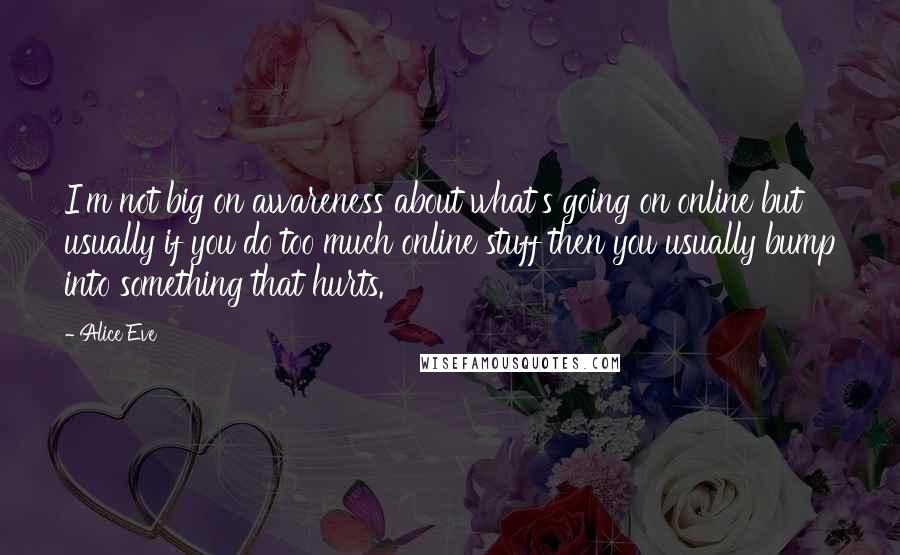 Alice Eve Quotes: I'm not big on awareness about what's going on online but usually if you do too much online stuff then you usually bump into something that hurts.