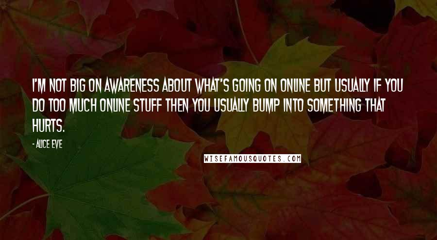 Alice Eve Quotes: I'm not big on awareness about what's going on online but usually if you do too much online stuff then you usually bump into something that hurts.