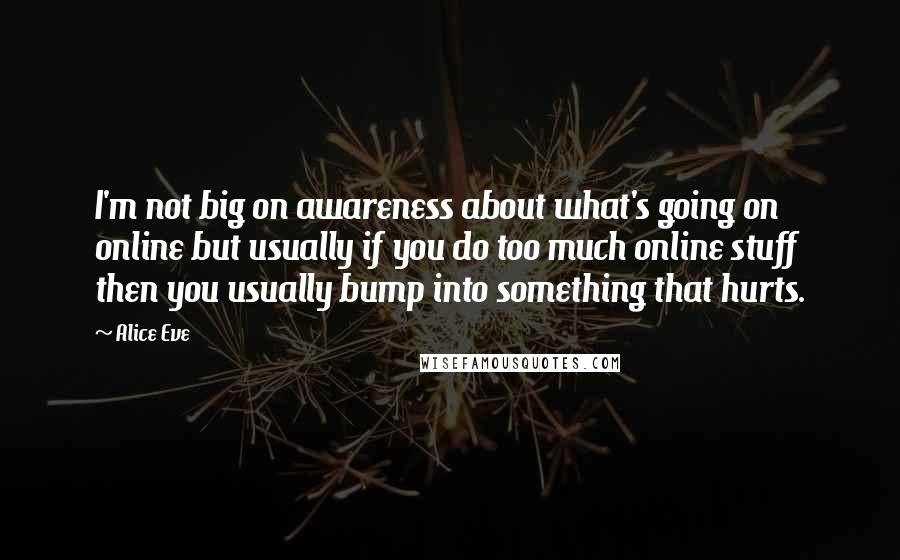 Alice Eve Quotes: I'm not big on awareness about what's going on online but usually if you do too much online stuff then you usually bump into something that hurts.