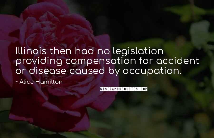 Alice Hamilton Quotes: Illinois then had no legislation providing compensation for accident or disease caused by occupation.