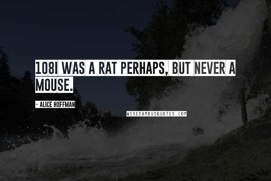 Alice Hoffman Quotes: 108I was a rat perhaps, but never a mouse.