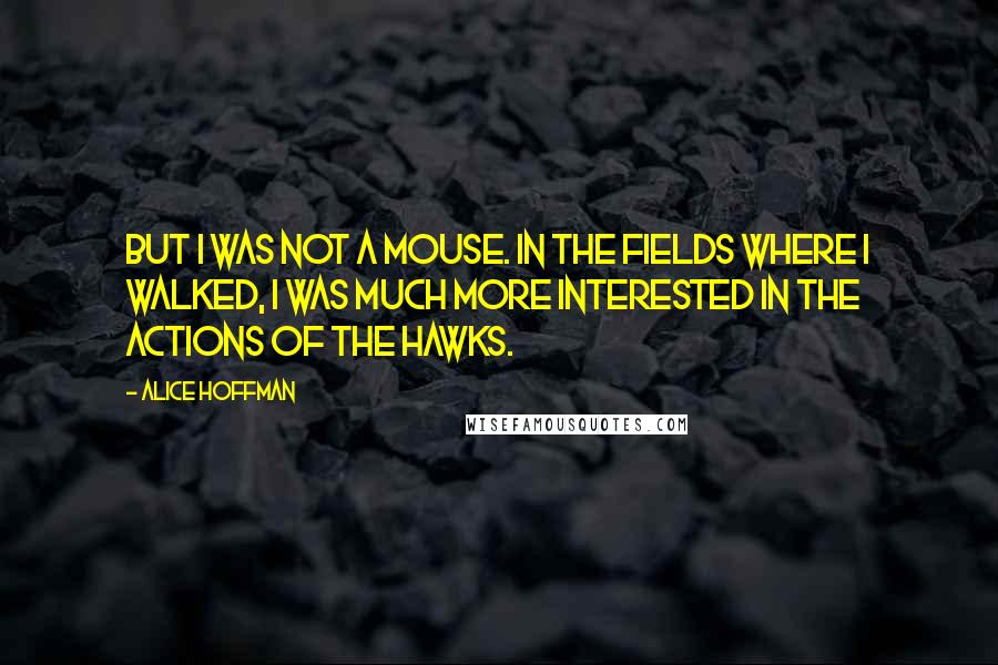 Alice Hoffman Quotes: But I was not a mouse. In the fields where I walked, I was much more interested in the actions of the hawks.