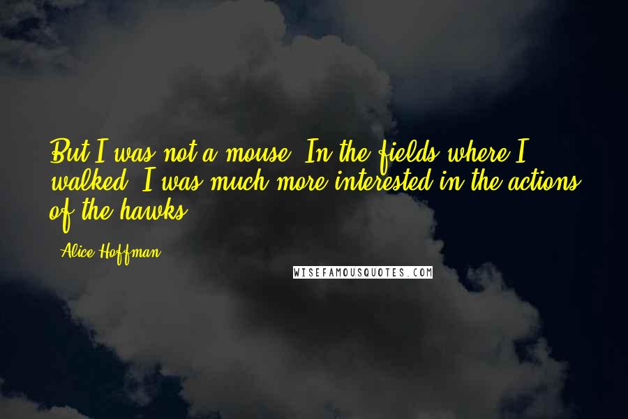 Alice Hoffman Quotes: But I was not a mouse. In the fields where I walked, I was much more interested in the actions of the hawks.