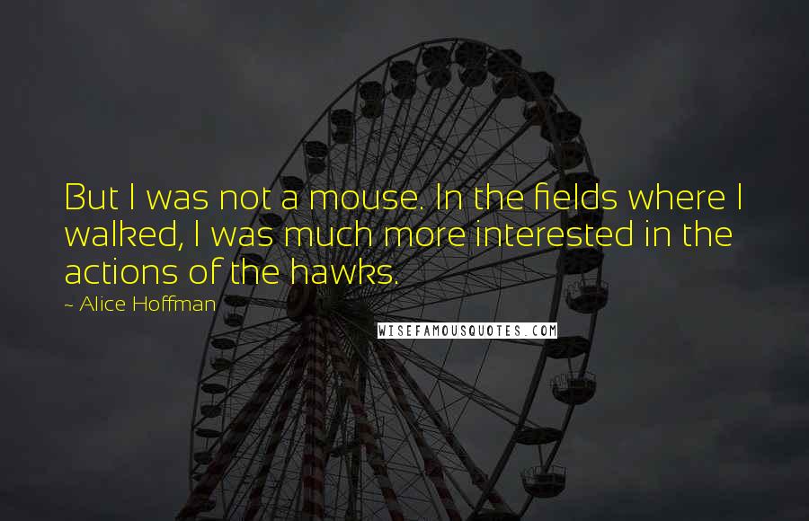 Alice Hoffman Quotes: But I was not a mouse. In the fields where I walked, I was much more interested in the actions of the hawks.