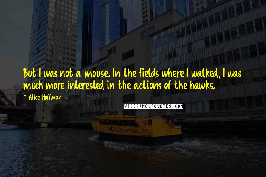 Alice Hoffman Quotes: But I was not a mouse. In the fields where I walked, I was much more interested in the actions of the hawks.