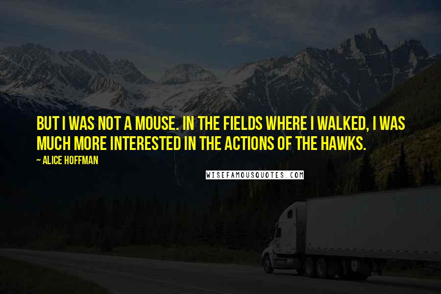 Alice Hoffman Quotes: But I was not a mouse. In the fields where I walked, I was much more interested in the actions of the hawks.