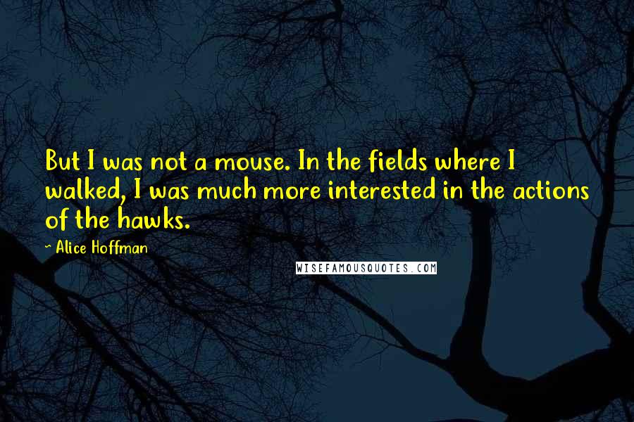 Alice Hoffman Quotes: But I was not a mouse. In the fields where I walked, I was much more interested in the actions of the hawks.