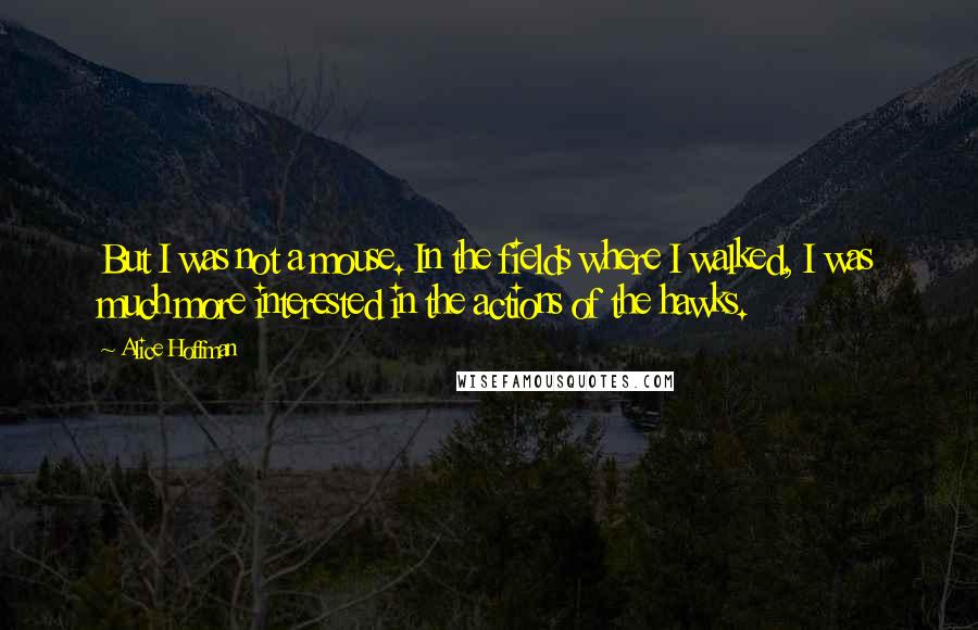 Alice Hoffman Quotes: But I was not a mouse. In the fields where I walked, I was much more interested in the actions of the hawks.