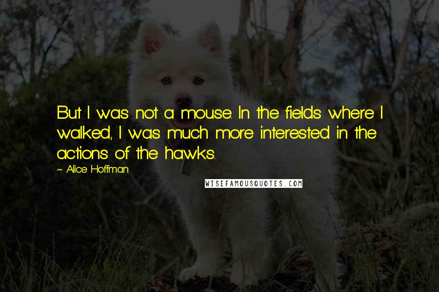 Alice Hoffman Quotes: But I was not a mouse. In the fields where I walked, I was much more interested in the actions of the hawks.