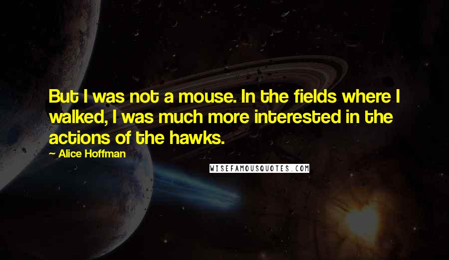 Alice Hoffman Quotes: But I was not a mouse. In the fields where I walked, I was much more interested in the actions of the hawks.
