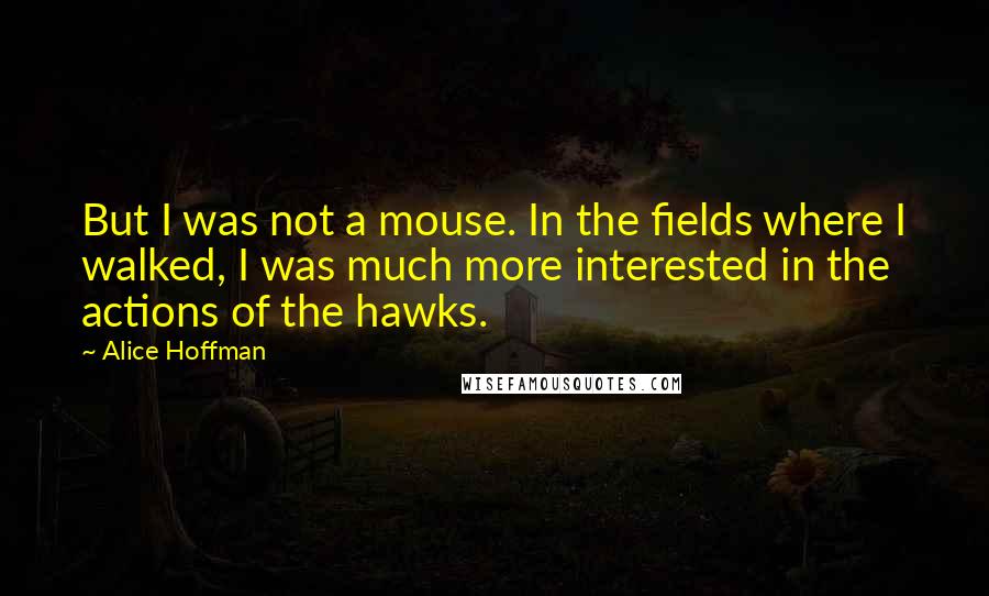 Alice Hoffman Quotes: But I was not a mouse. In the fields where I walked, I was much more interested in the actions of the hawks.