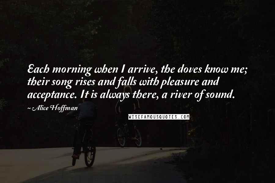 Alice Hoffman Quotes: Each morning when I arrive, the doves know me; their song rises and falls with pleasure and acceptance. It is always there, a river of sound.