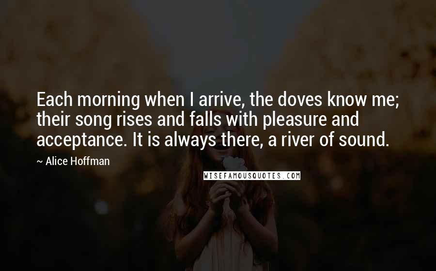 Alice Hoffman Quotes: Each morning when I arrive, the doves know me; their song rises and falls with pleasure and acceptance. It is always there, a river of sound.