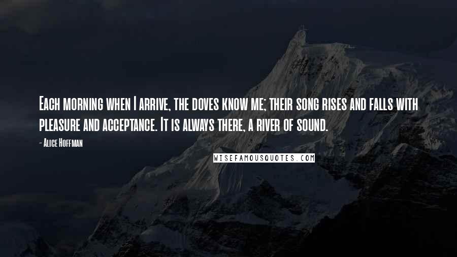 Alice Hoffman Quotes: Each morning when I arrive, the doves know me; their song rises and falls with pleasure and acceptance. It is always there, a river of sound.