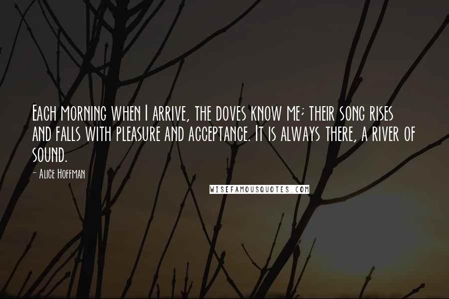 Alice Hoffman Quotes: Each morning when I arrive, the doves know me; their song rises and falls with pleasure and acceptance. It is always there, a river of sound.