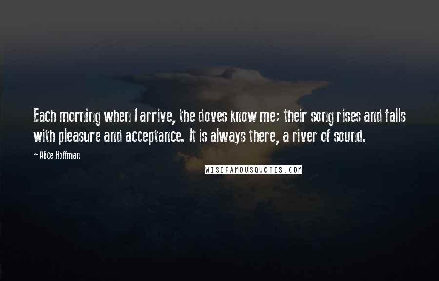 Alice Hoffman Quotes: Each morning when I arrive, the doves know me; their song rises and falls with pleasure and acceptance. It is always there, a river of sound.