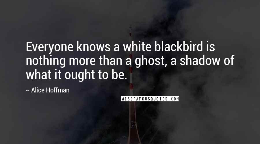 Alice Hoffman Quotes: Everyone knows a white blackbird is nothing more than a ghost, a shadow of what it ought to be.