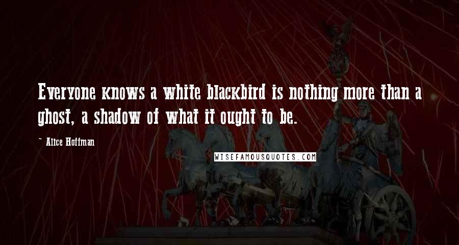 Alice Hoffman Quotes: Everyone knows a white blackbird is nothing more than a ghost, a shadow of what it ought to be.
