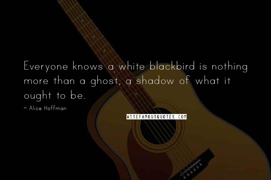 Alice Hoffman Quotes: Everyone knows a white blackbird is nothing more than a ghost, a shadow of what it ought to be.