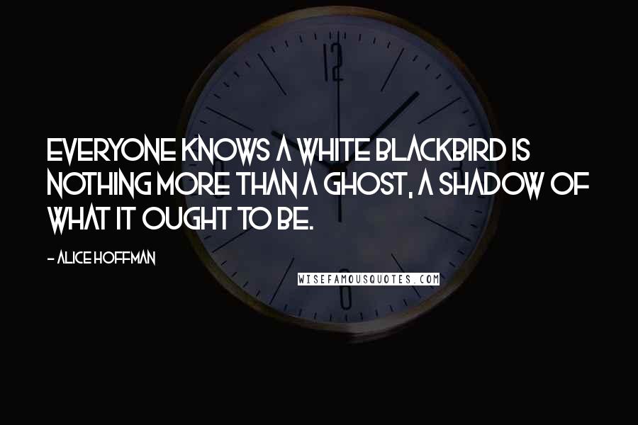 Alice Hoffman Quotes: Everyone knows a white blackbird is nothing more than a ghost, a shadow of what it ought to be.