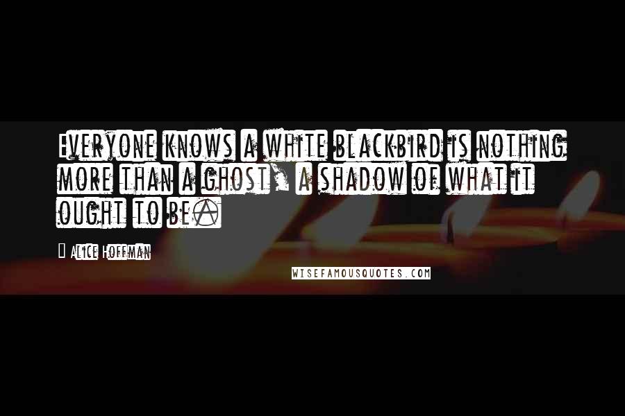 Alice Hoffman Quotes: Everyone knows a white blackbird is nothing more than a ghost, a shadow of what it ought to be.