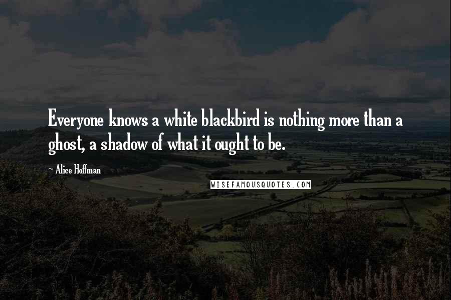 Alice Hoffman Quotes: Everyone knows a white blackbird is nothing more than a ghost, a shadow of what it ought to be.