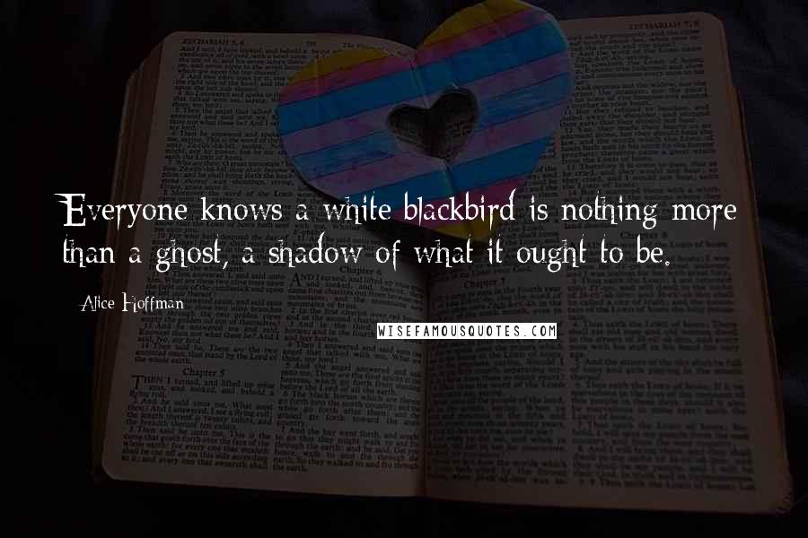 Alice Hoffman Quotes: Everyone knows a white blackbird is nothing more than a ghost, a shadow of what it ought to be.