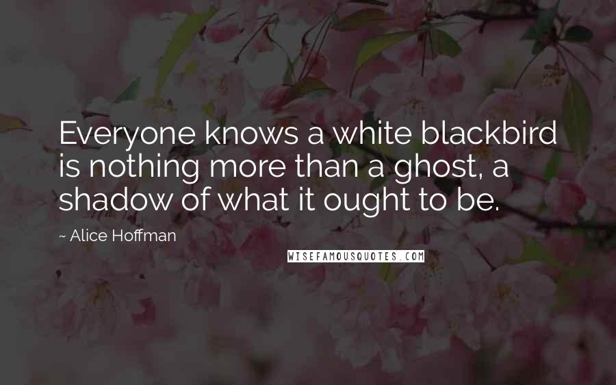 Alice Hoffman Quotes: Everyone knows a white blackbird is nothing more than a ghost, a shadow of what it ought to be.