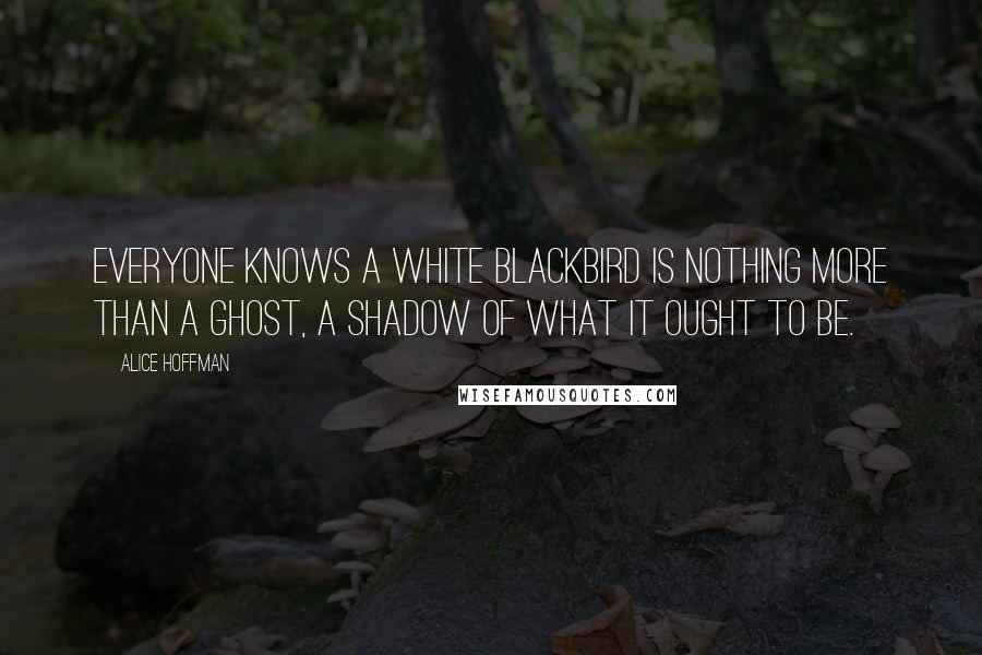 Alice Hoffman Quotes: Everyone knows a white blackbird is nothing more than a ghost, a shadow of what it ought to be.