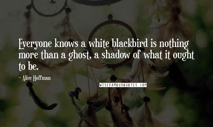 Alice Hoffman Quotes: Everyone knows a white blackbird is nothing more than a ghost, a shadow of what it ought to be.