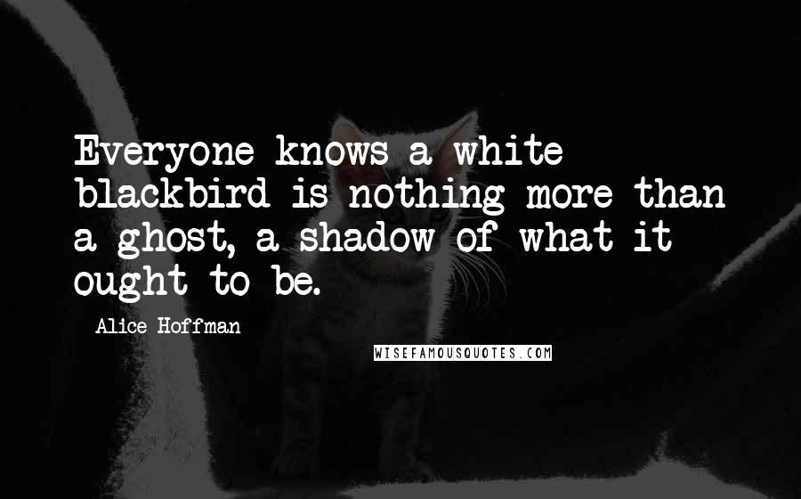 Alice Hoffman Quotes: Everyone knows a white blackbird is nothing more than a ghost, a shadow of what it ought to be.
