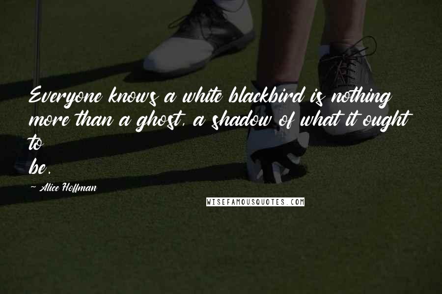 Alice Hoffman Quotes: Everyone knows a white blackbird is nothing more than a ghost, a shadow of what it ought to be.