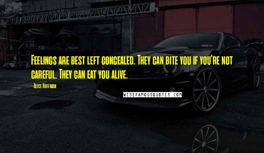Alice Hoffman Quotes: Feelings are best left concealed. They can bite you if you're not careful. They can eat you alive.