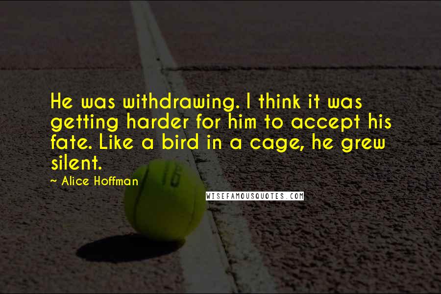 Alice Hoffman Quotes: He was withdrawing. I think it was getting harder for him to accept his fate. Like a bird in a cage, he grew silent.