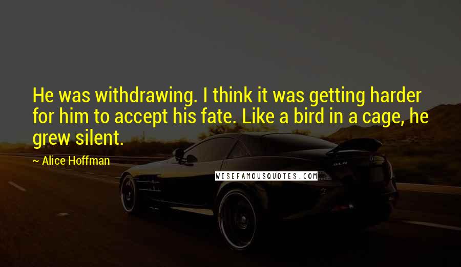 Alice Hoffman Quotes: He was withdrawing. I think it was getting harder for him to accept his fate. Like a bird in a cage, he grew silent.