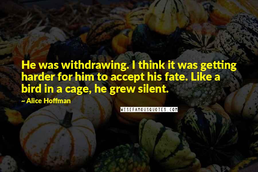 Alice Hoffman Quotes: He was withdrawing. I think it was getting harder for him to accept his fate. Like a bird in a cage, he grew silent.