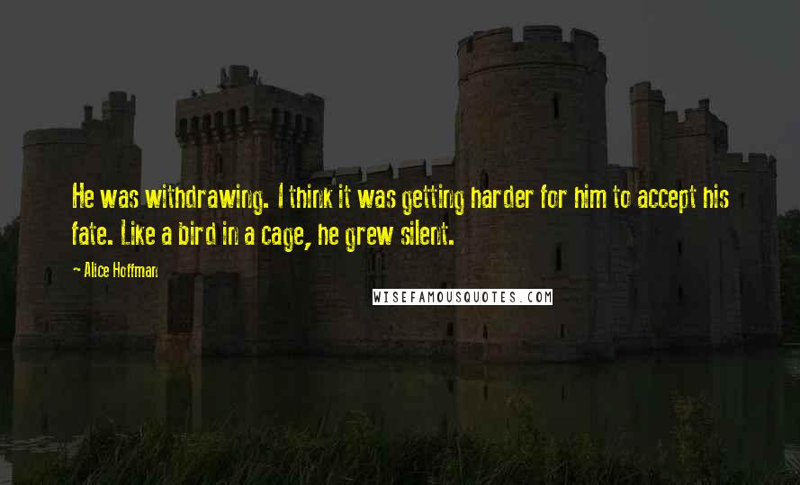 Alice Hoffman Quotes: He was withdrawing. I think it was getting harder for him to accept his fate. Like a bird in a cage, he grew silent.